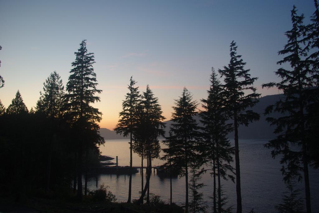 Wild Coast Chalets Port Renfrew Eksteriør bilde
